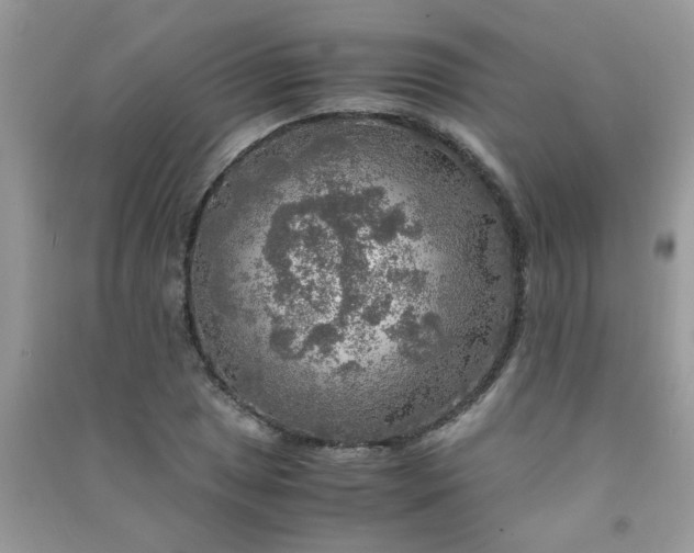 X0000091011025200708161954