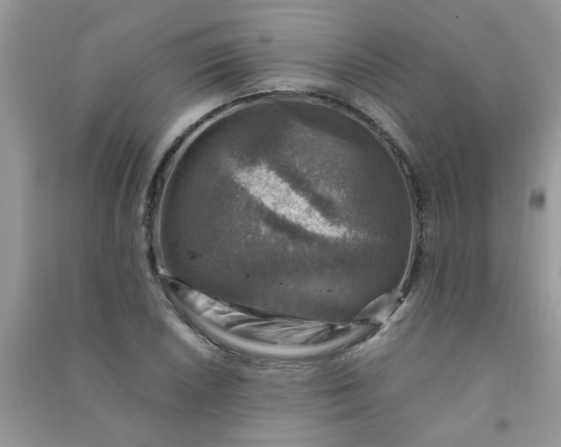 X0000091011026200708161954