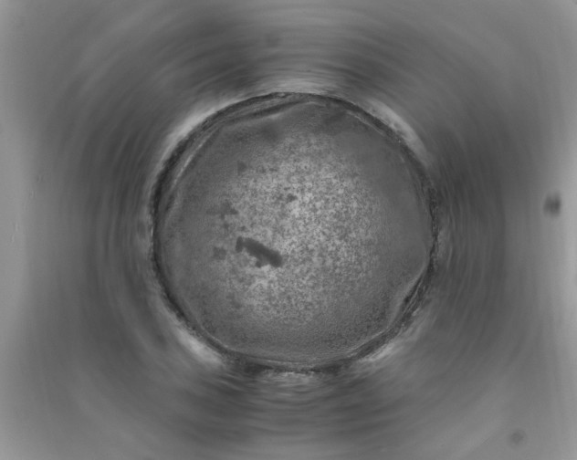 X0000091011027200708161954