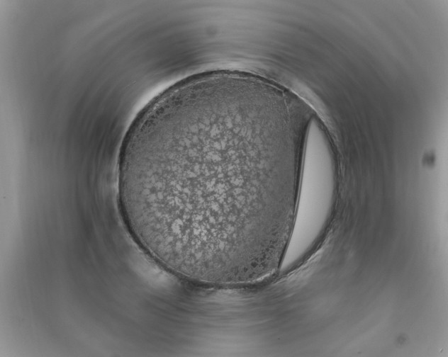 X0000091011028200708161954