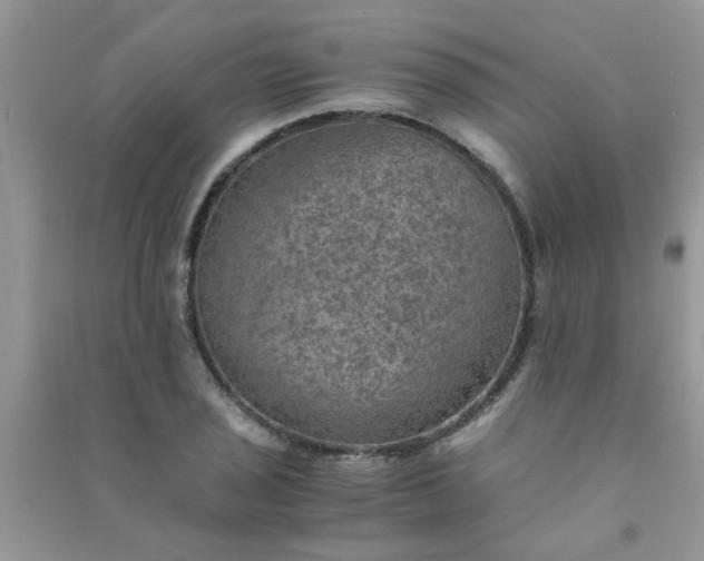 X0000091011029200708161954