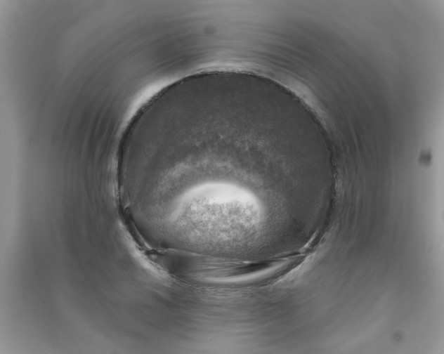 X0000091011030200708161954