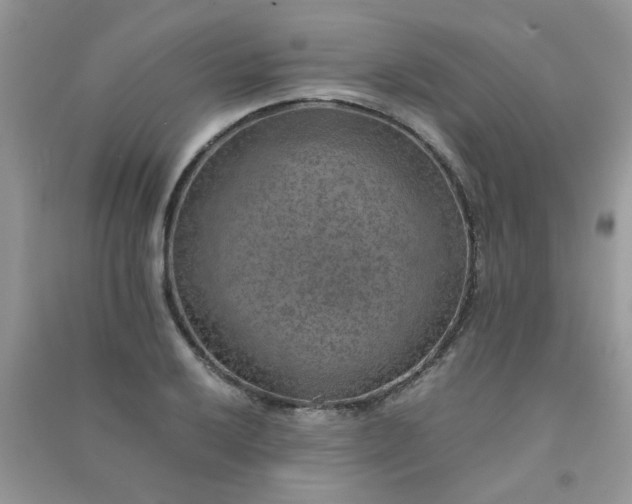 X0000091011032200708161954