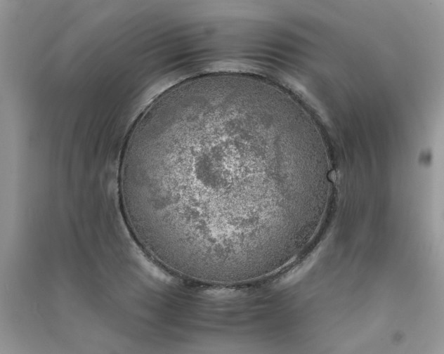 X0000091011033200708161954