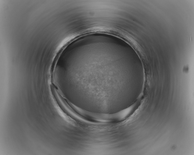 X0000091011034200708161954