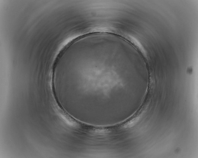 X0000091011035200708161954