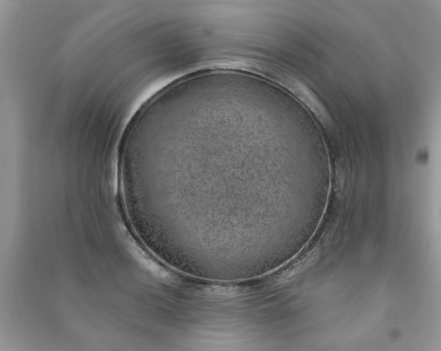 X0000091011036200708161954