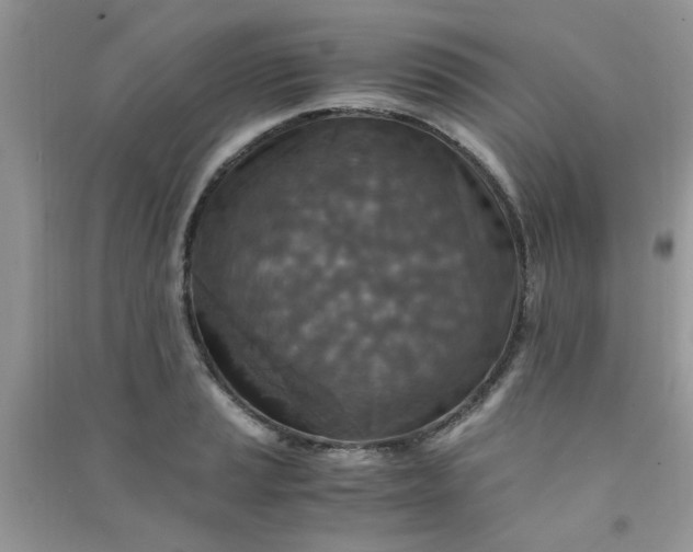 X0000091011037200708161954