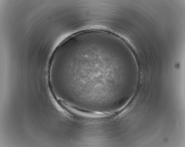 X0000091011038200708161954