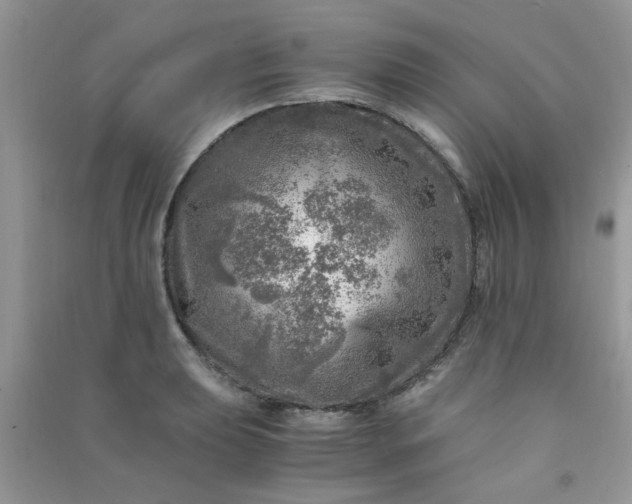 X0000091011039200708161954