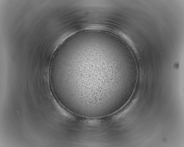 X0000091011041200708161954