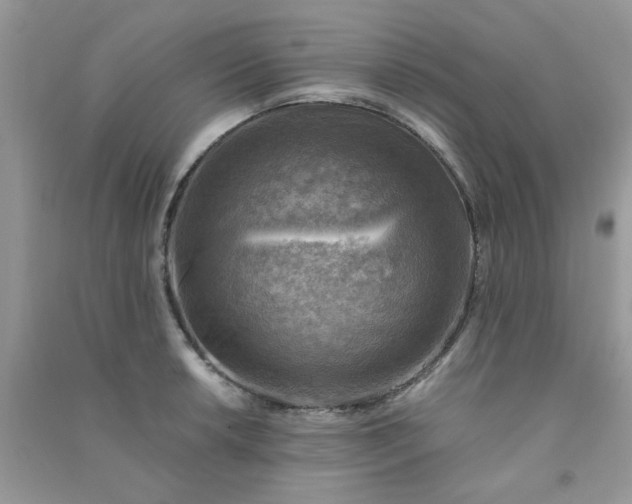 X0000091011042200708161954