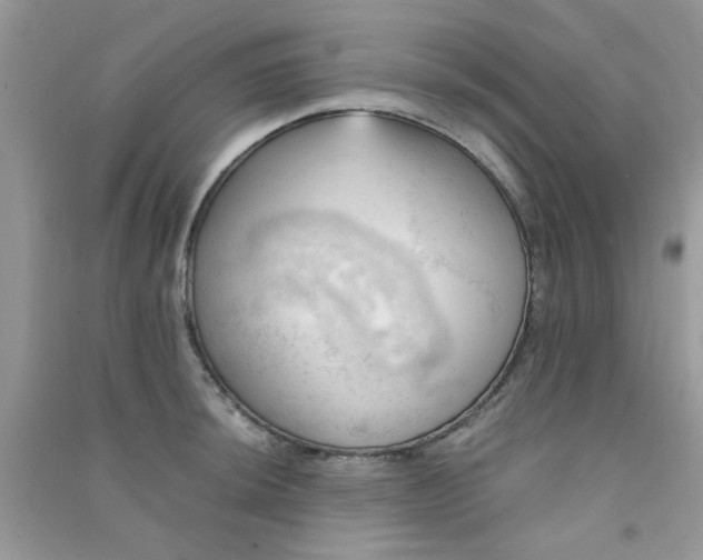 X0000091011044200708161954