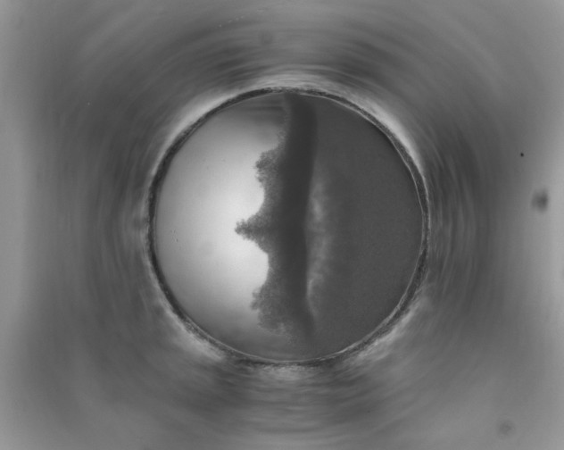 X0000091011045200708161954