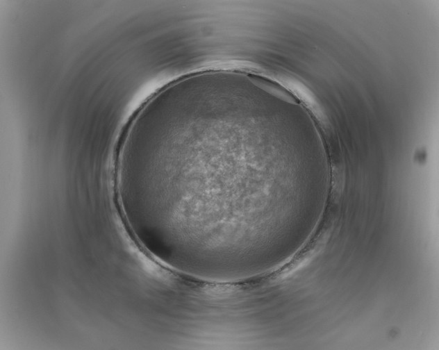 X0000091011046200708161954