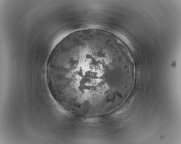 X0000091011047200708161954