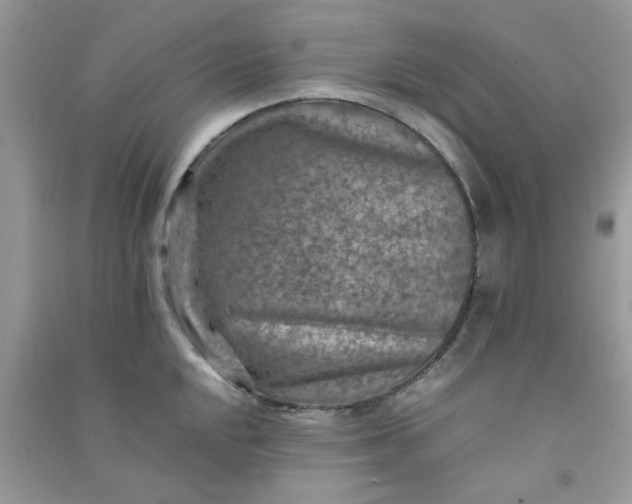 X0000091011048200708161954