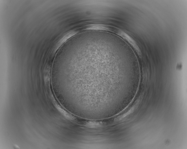 X0000091011049200708161954