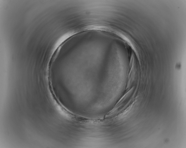 X0000091011050200708161954