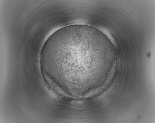 X0000091011051200708161954