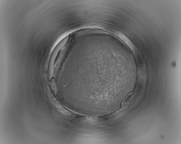 X0000091011052200708161954