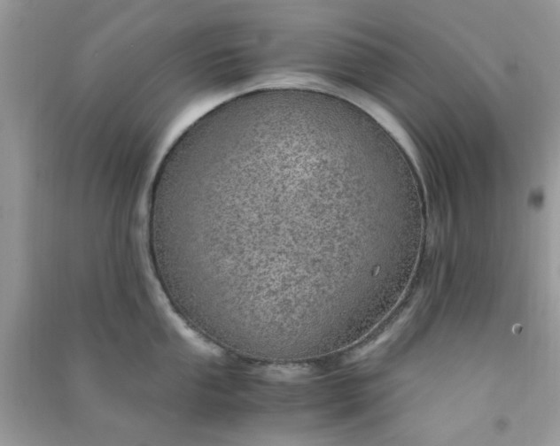 X0000091011053200708161954