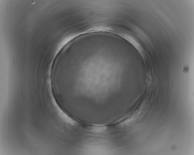 X0000091011055200708161954