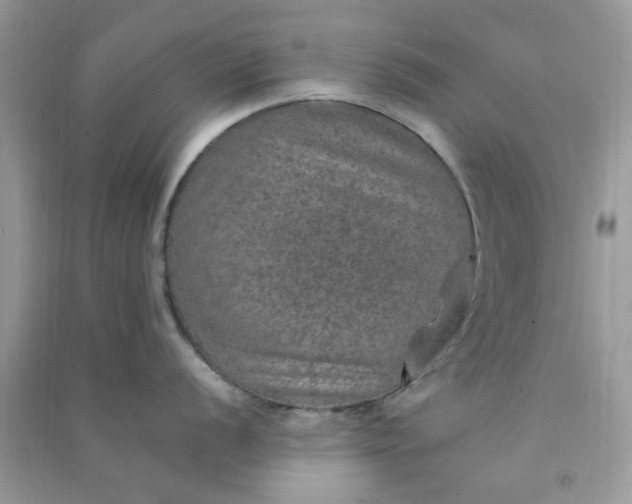 X0000091011056200708161954