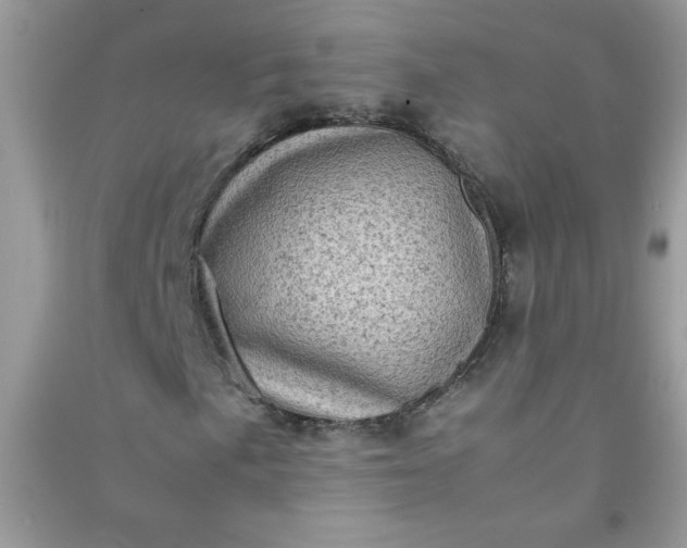 X0000091011057200708161954