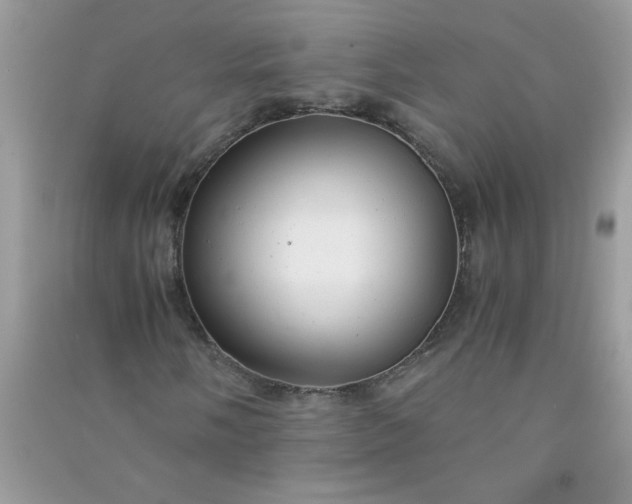 X0000091011058200708161954