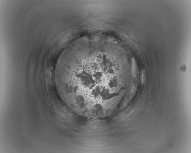 X0000091011059200708161954