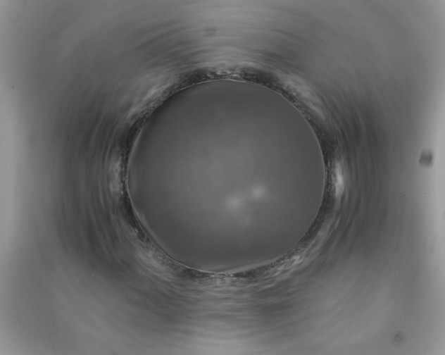 X0000091011060200708161953