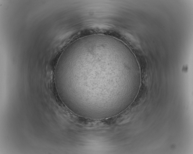 X0000091011061200708161953