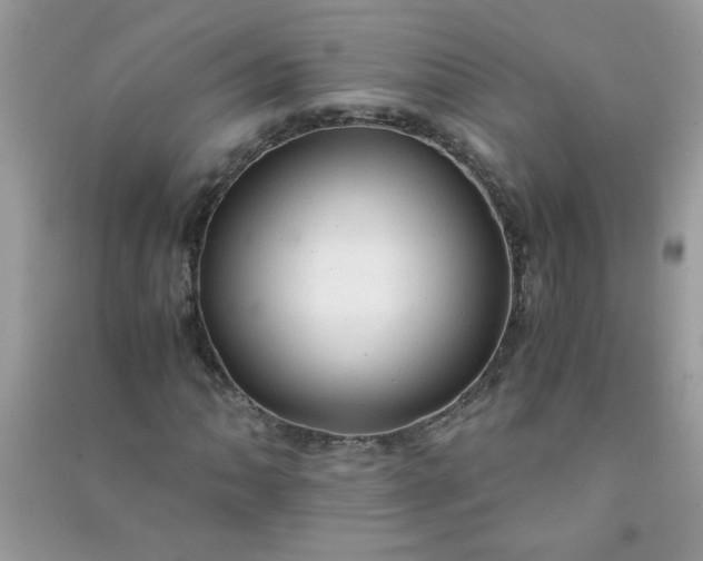 X0000091011062200708161953