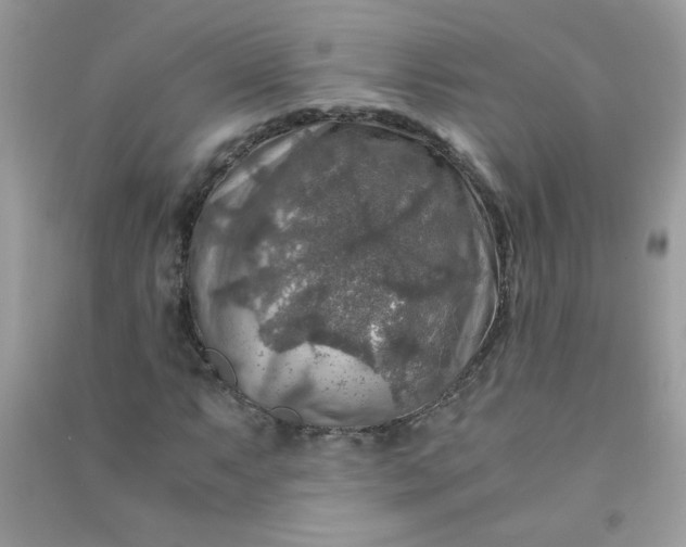 X0000091011063200708161953