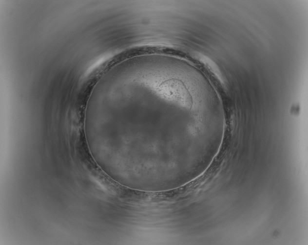 X0000091011064200708161953