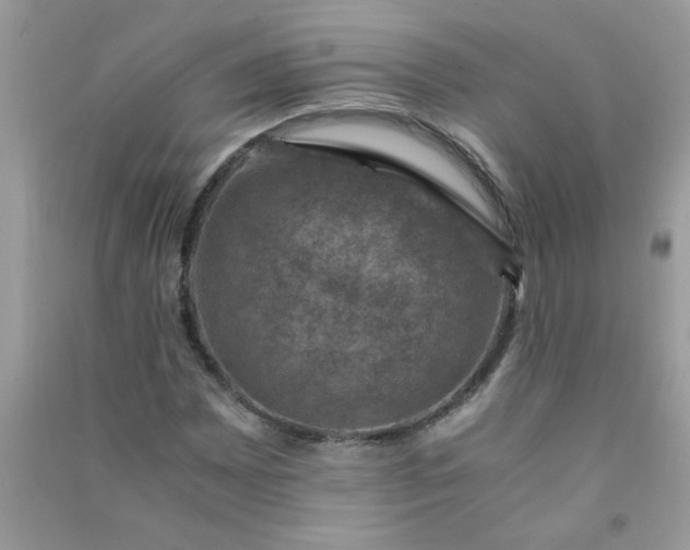 X0000091011065200708161953