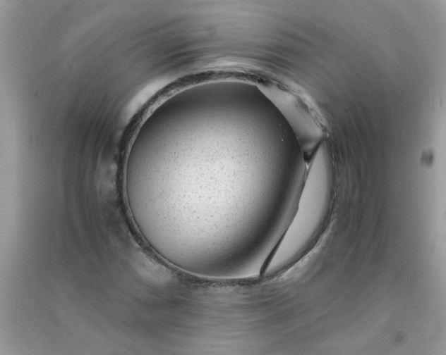 X0000091011066200708161953