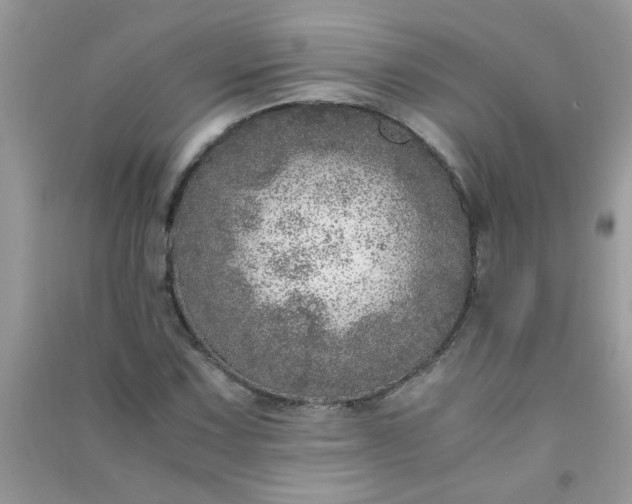 X0000091011067200708161953