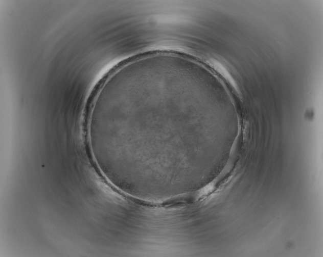 X0000091011068200708161953