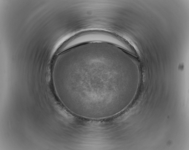 X0000091011069200708161953