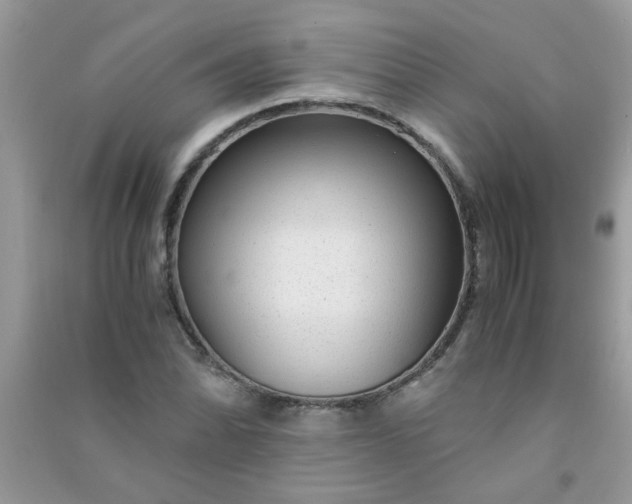 X0000091011070200708161953