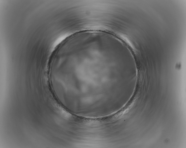 X0000091011071200708161953