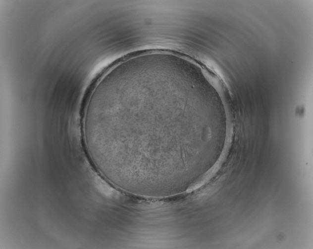 X0000091011072200708161953