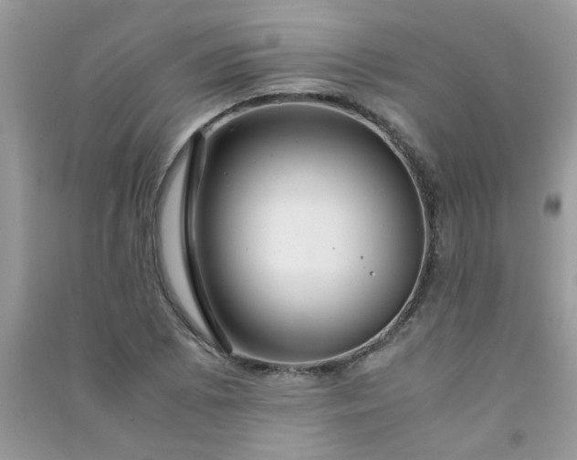 X0000091011073200708161953