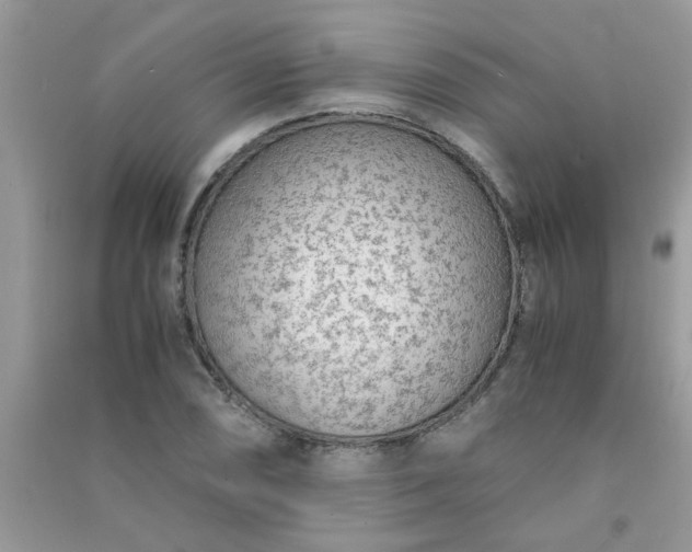 X0000091011074200708161953