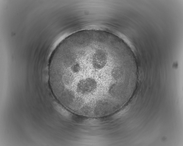 X0000091011075200708161953