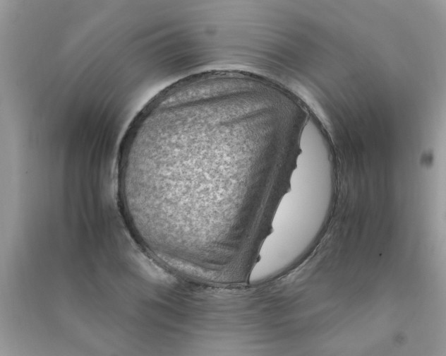 X0000091011076200708161953