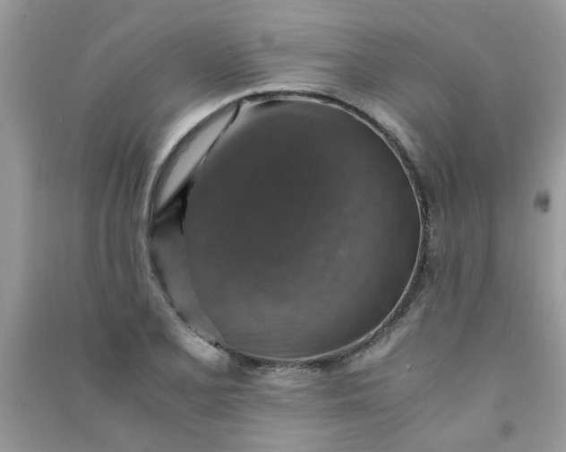 X0000091011077200708161953