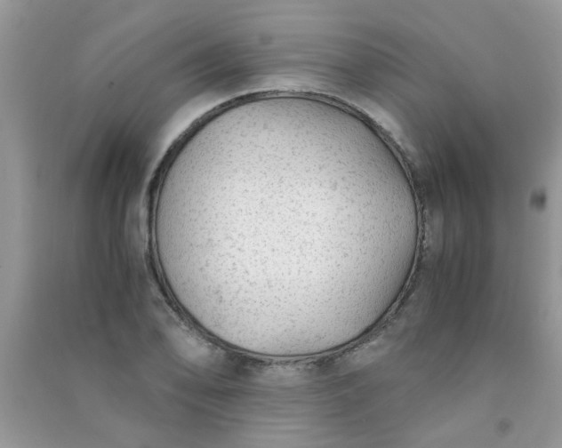 X0000091011078200708161953